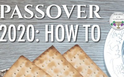 Passover Notes