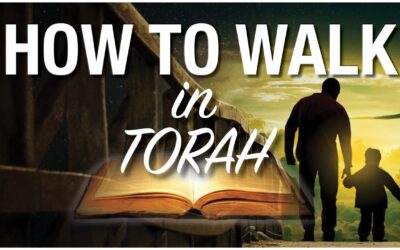 How To Walk In Torah